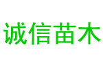 金相顯微鏡廠家直供